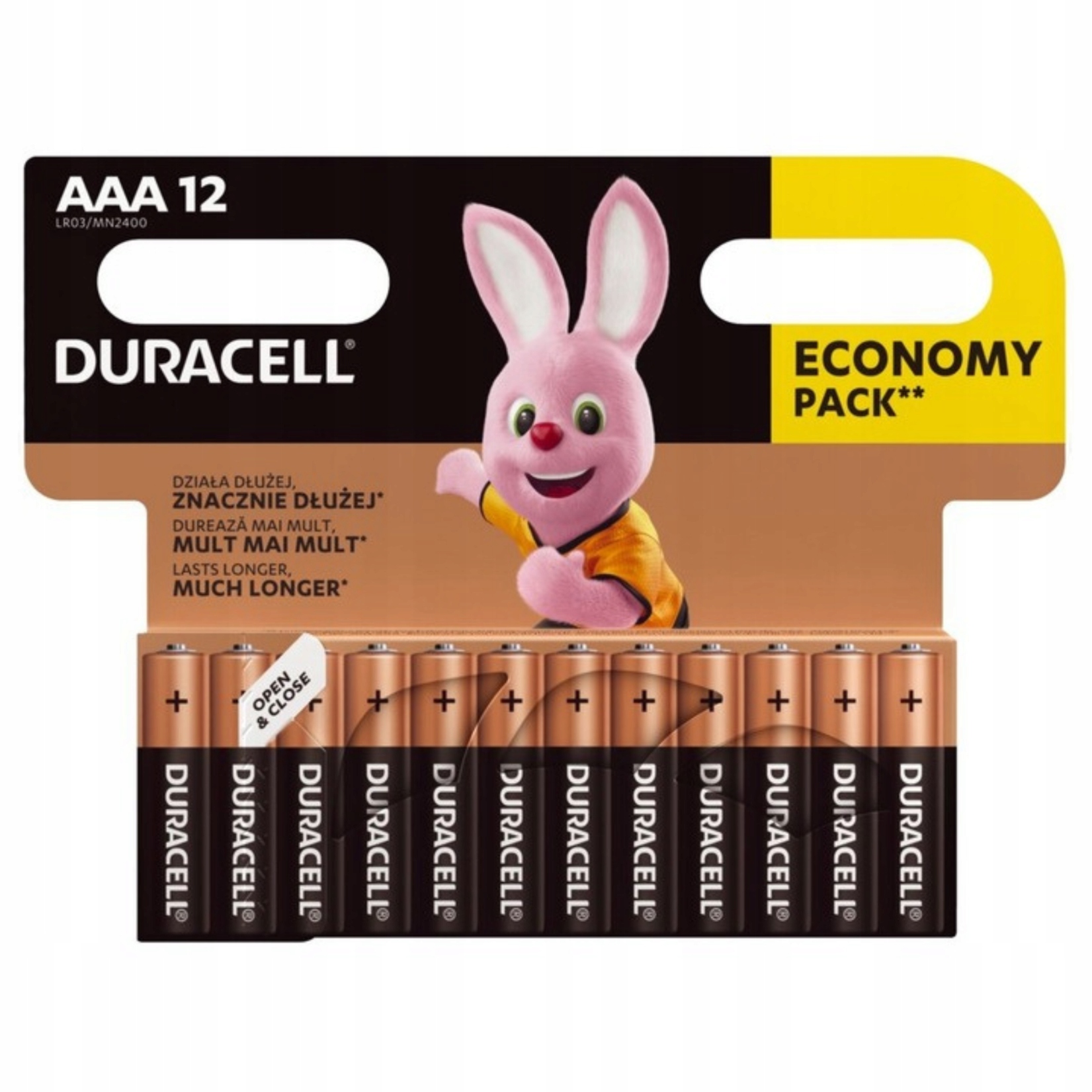 Duracell Alkaické batérie 12ks LR03 Aaa