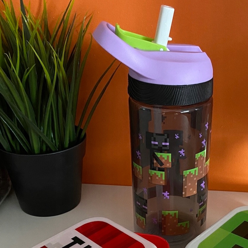 BUTELKA BIDON MINECRAFT ENDERMAN 560ml BEZ BPA Rodzaj bidon