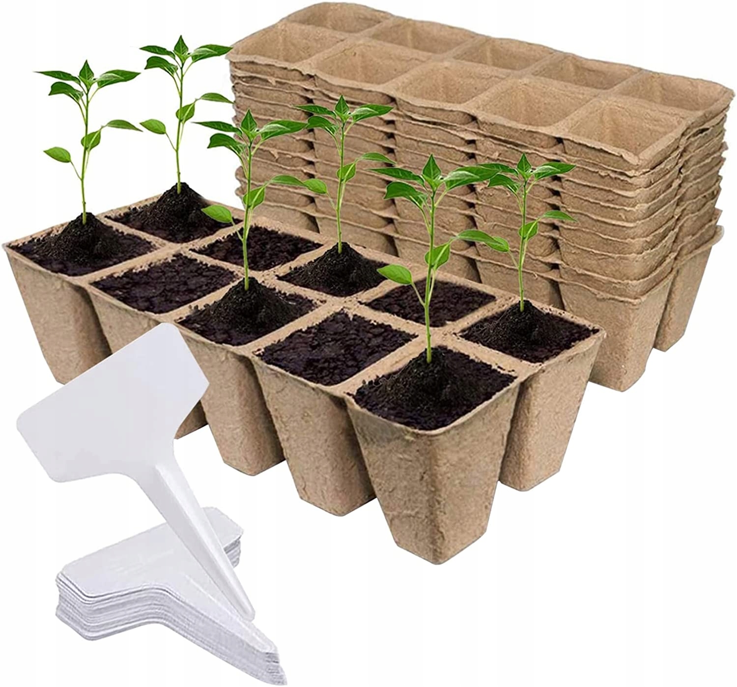 ZESTAW BIODEGRADOWALNYCH DONICZEK DO UPRAWY NASION SADZONEK ZIÓŁ ROŚLIN