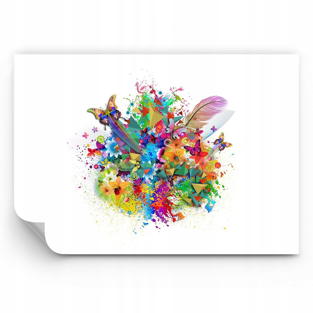 Fototapeta Motyl Tapeta Na Ścianę Do Sypialni Salonu 250x175 Ps