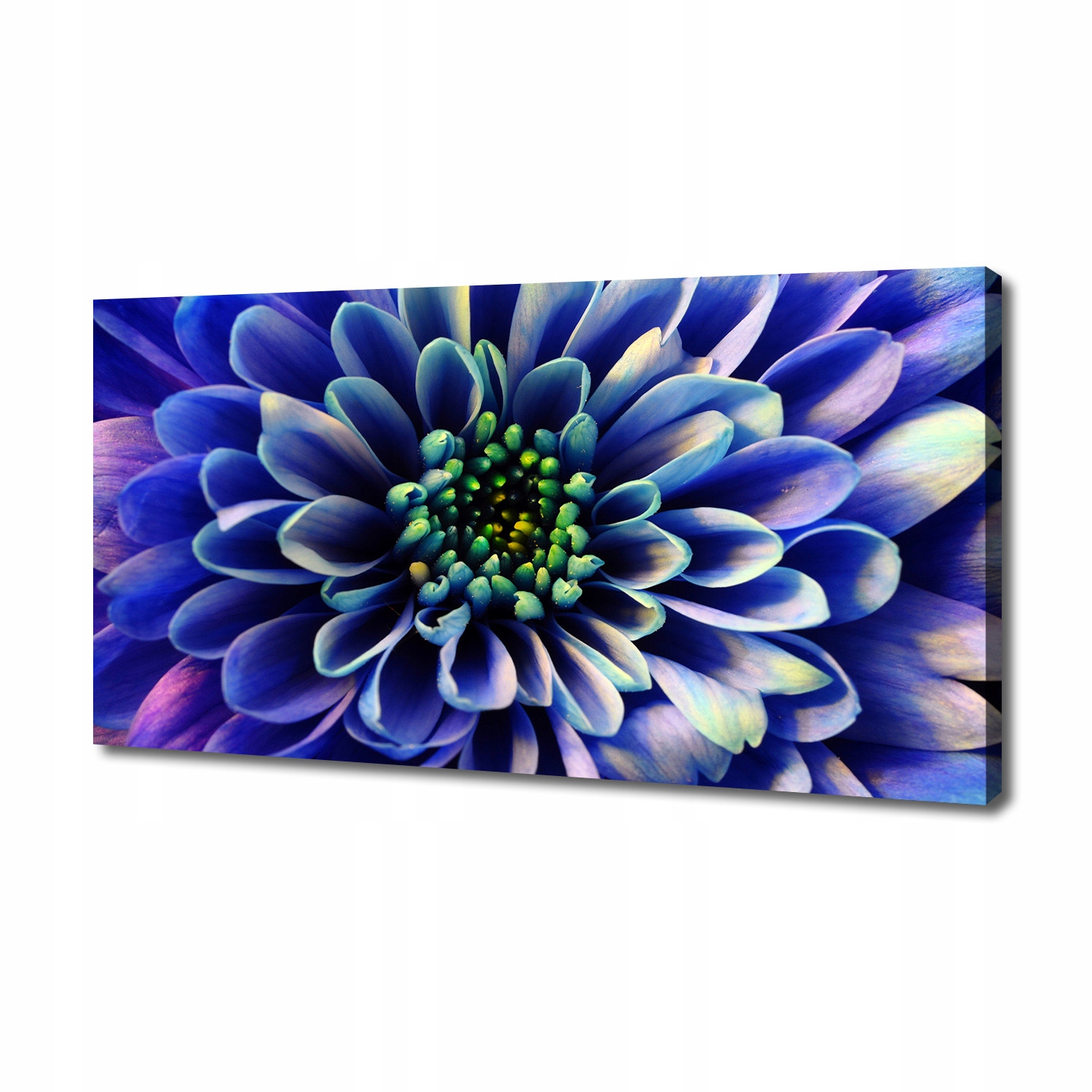 

Foto obraz ze zdjęcia do salonu Aster 140x70 cm