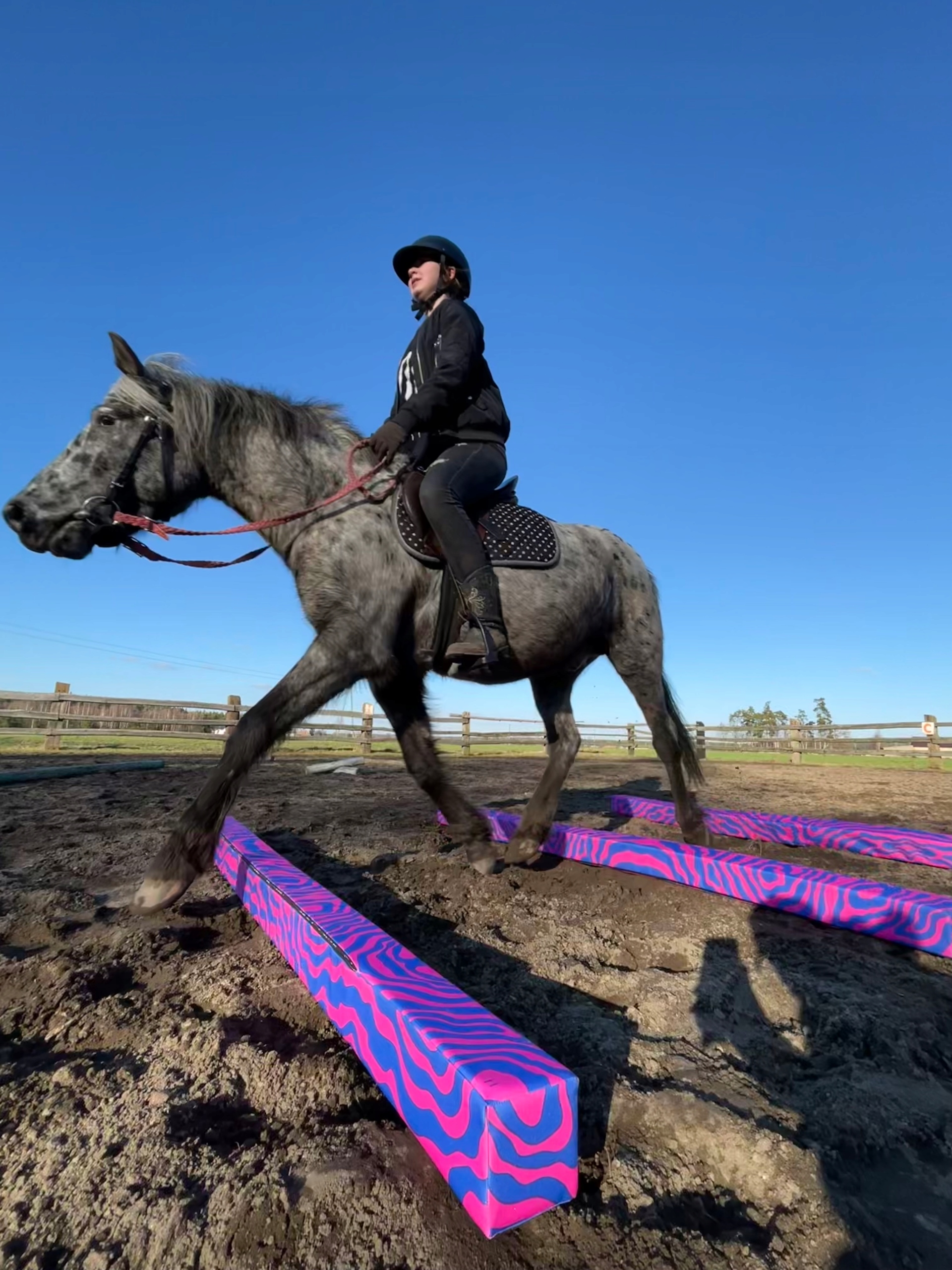 HorseMania- drągi piankowe, bezpieczne, lekie, 3 szt. 3,3mx5 Kod producenta DRAG 3,3mx5 komplet