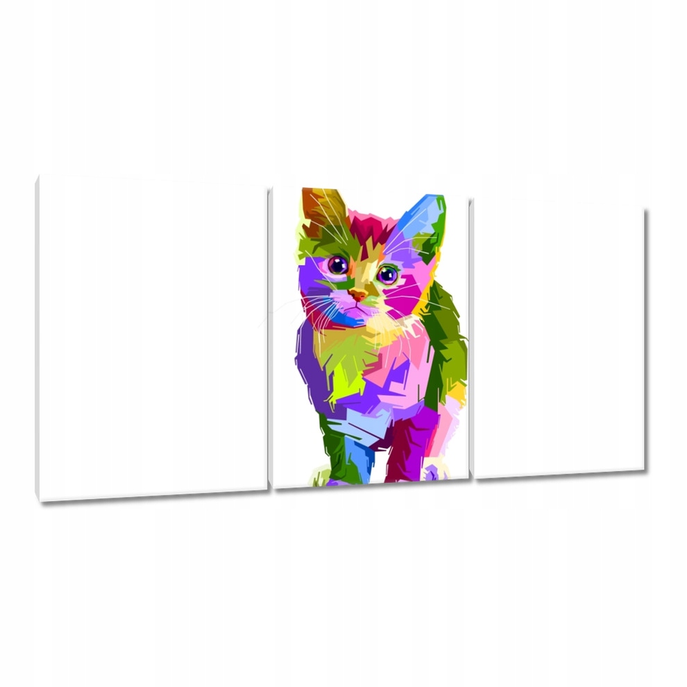 

Obrazy 120x60 Kolorowy kotek