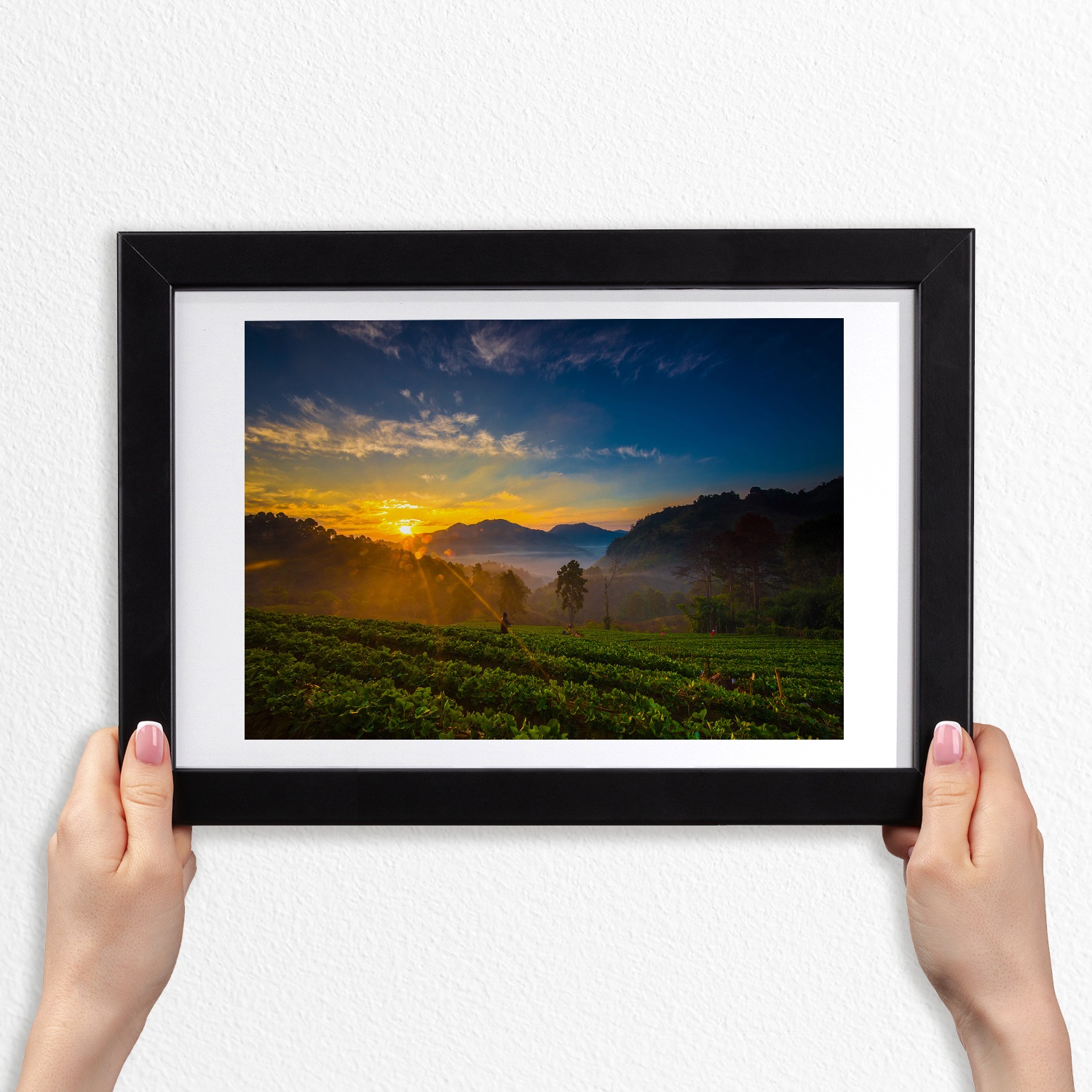 

Foto obraz z ramką Mdf Plantacja herbaty 30x20 cm