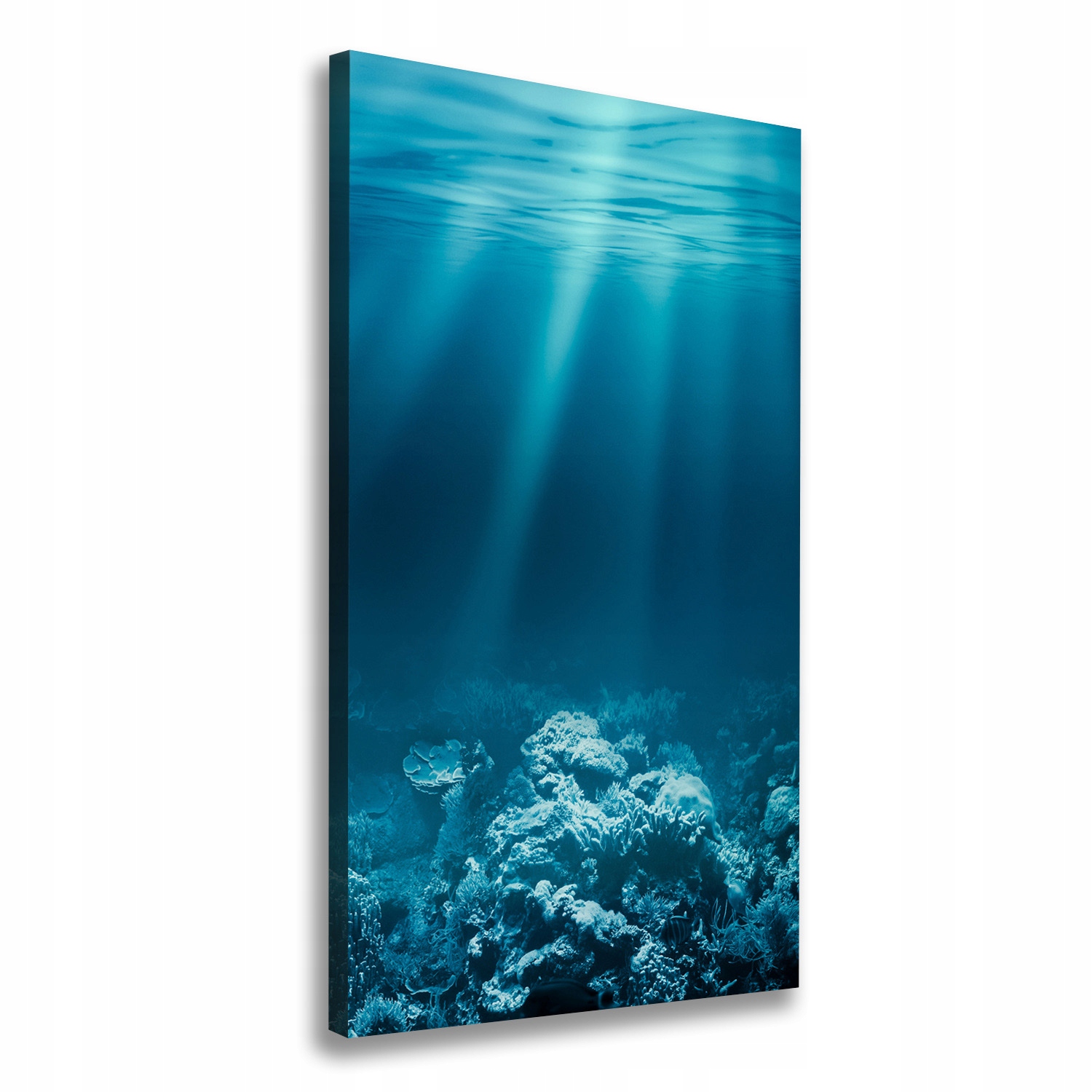 Fotoobraz obraz na plátně Podmořský svět 70x140 cm