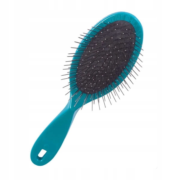 Levně Lehký kartáč v plastovém rámu 22 cm Tyrkysový – značky 1 All Systems