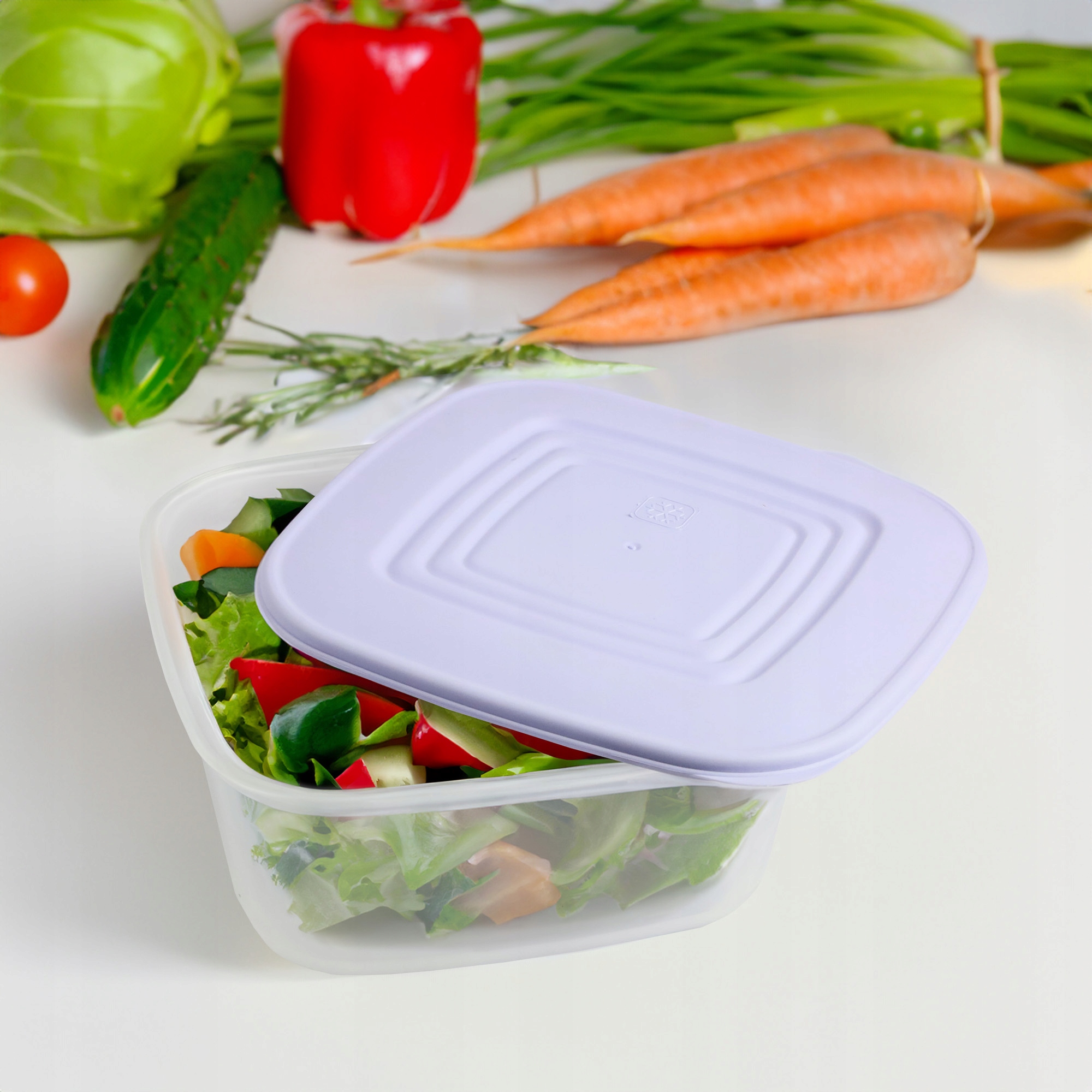 PLASTIKOWY POJEMNIK Z POKRYWKĄ DO PRZECHOWYWANIA ZAMRAŻANIA ŻYWNOŚCI 3L