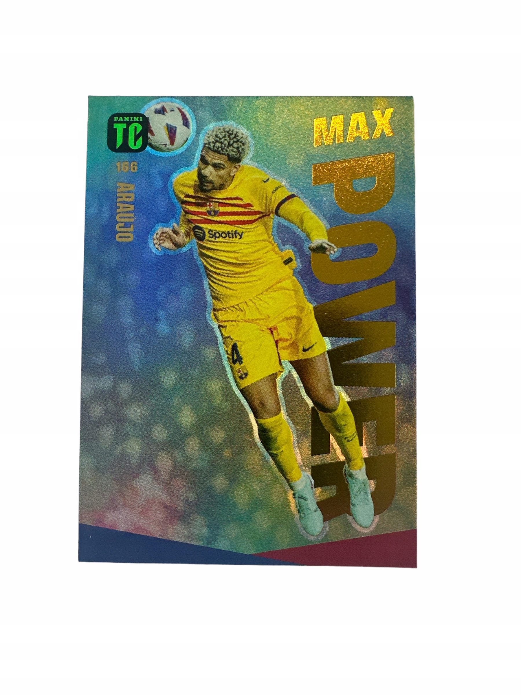 Top Class 2024 Max Power 166 Araujo