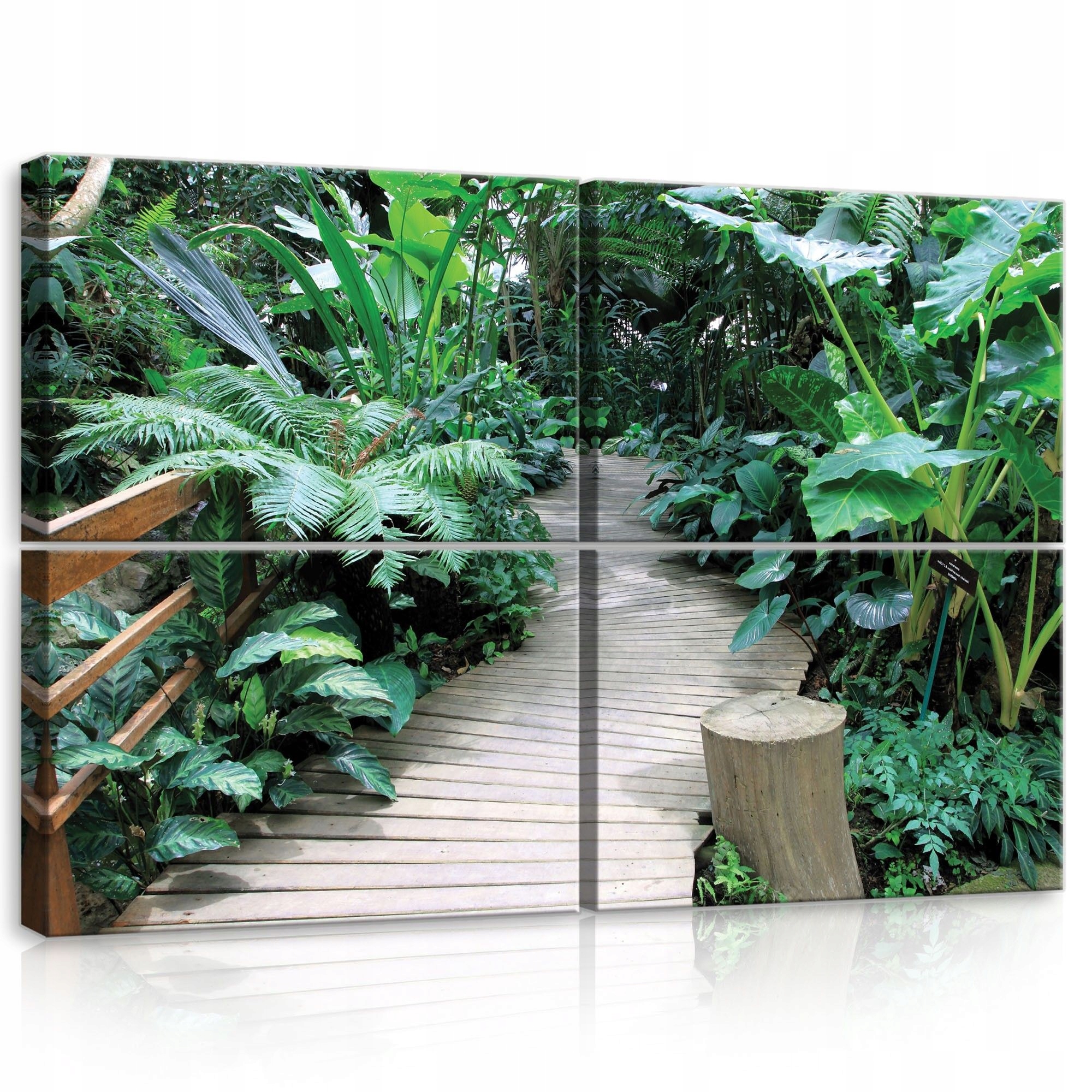 Obraz 120x80 Tropické džungle zelená príroda listy pokoj relax cestovanie