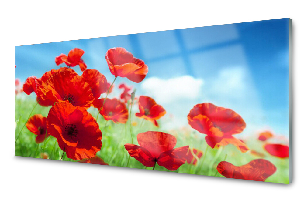 

Panel szklany do kuchni Maki Roślina 125x50