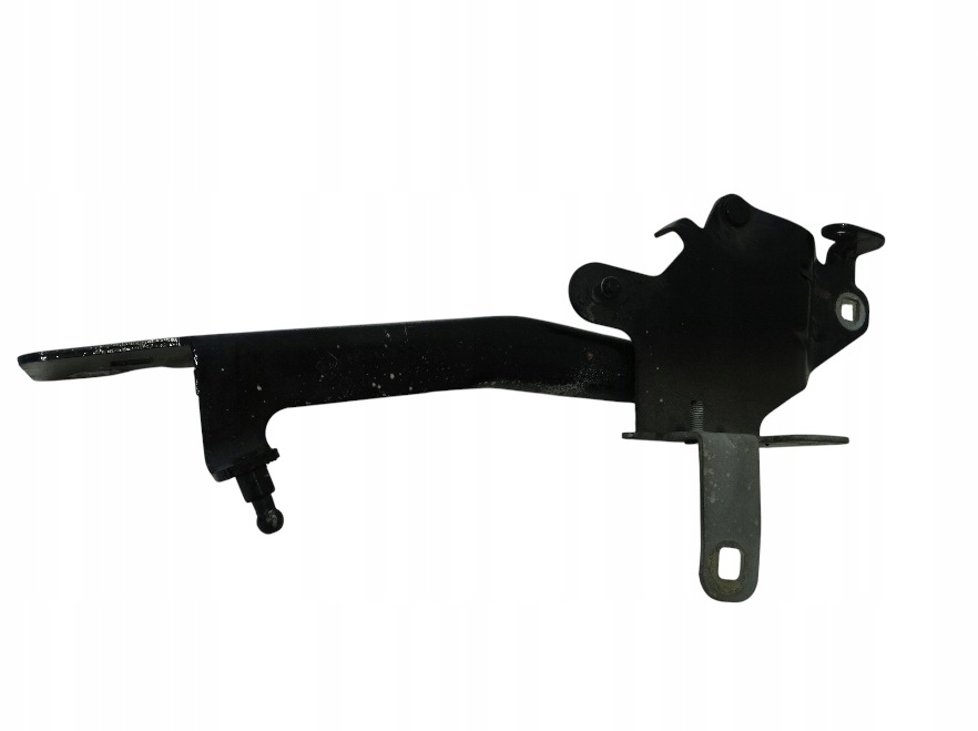 hinge bonnets left front RENAULT SCENIC III 654010004R