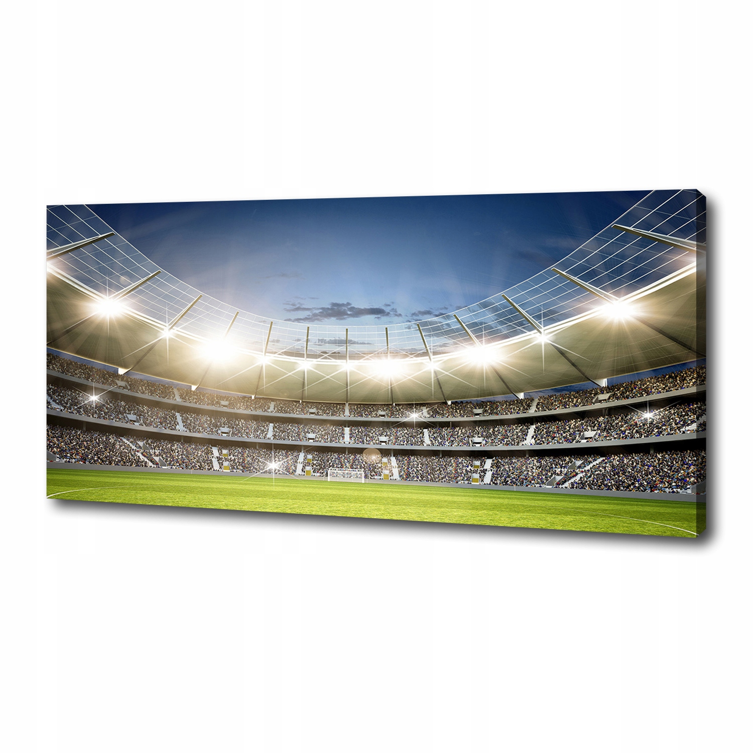 

Foto obraz canvas na ścianę Stadion 125x50 cm