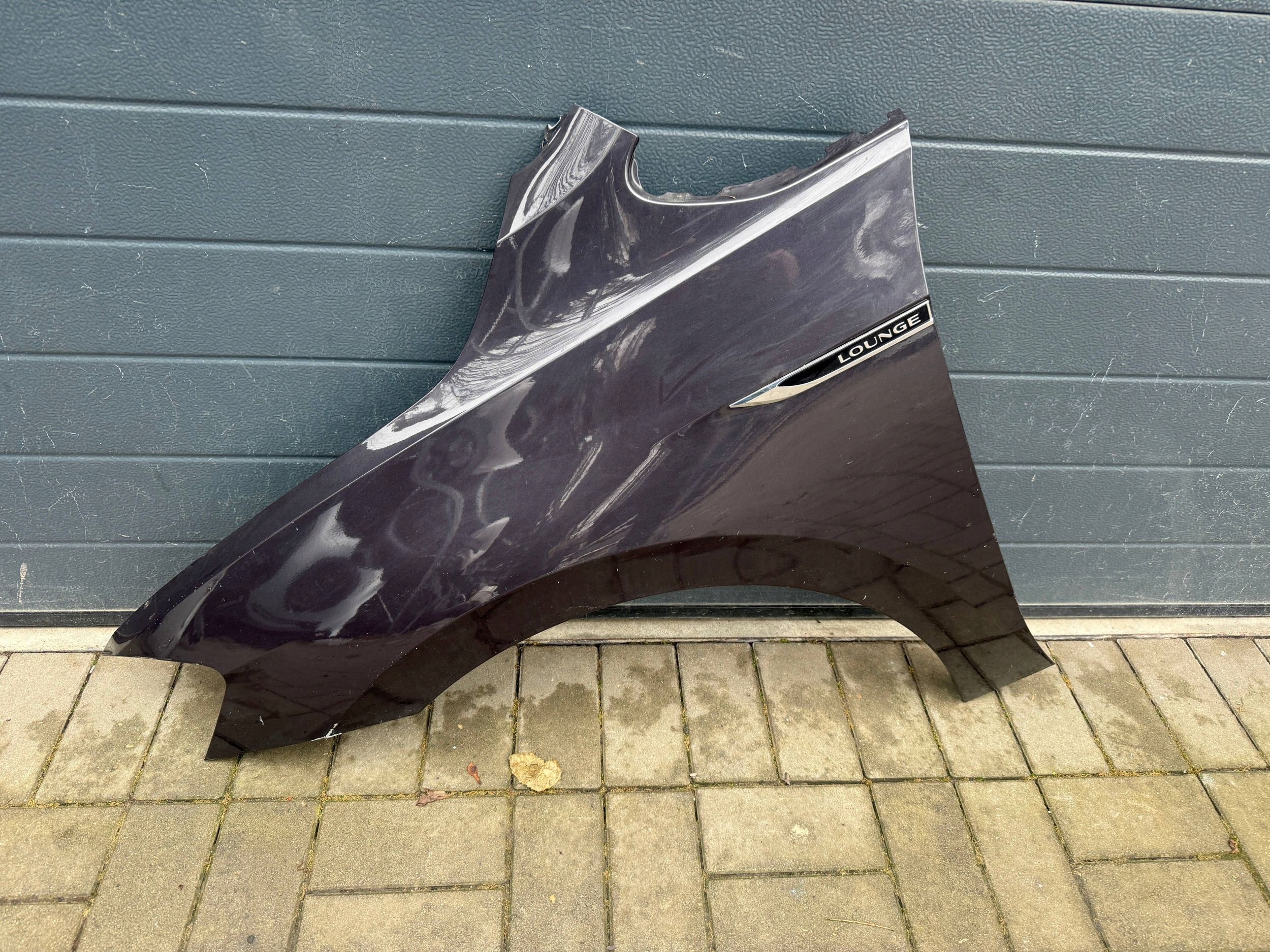 Vw Golf Sportsvan 510 fender left front front