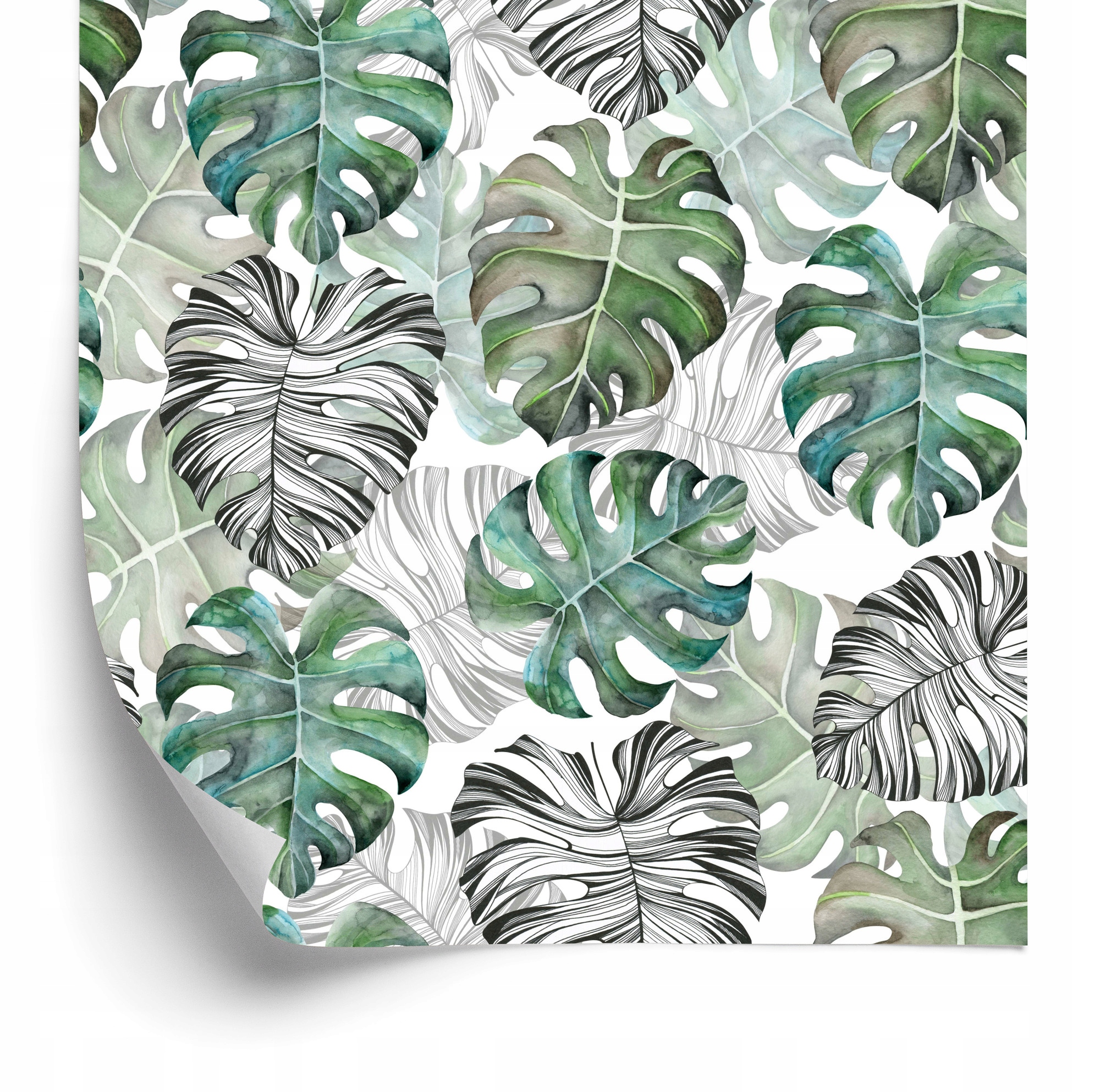 Tapeta Listy Monstera 50x1000 cm