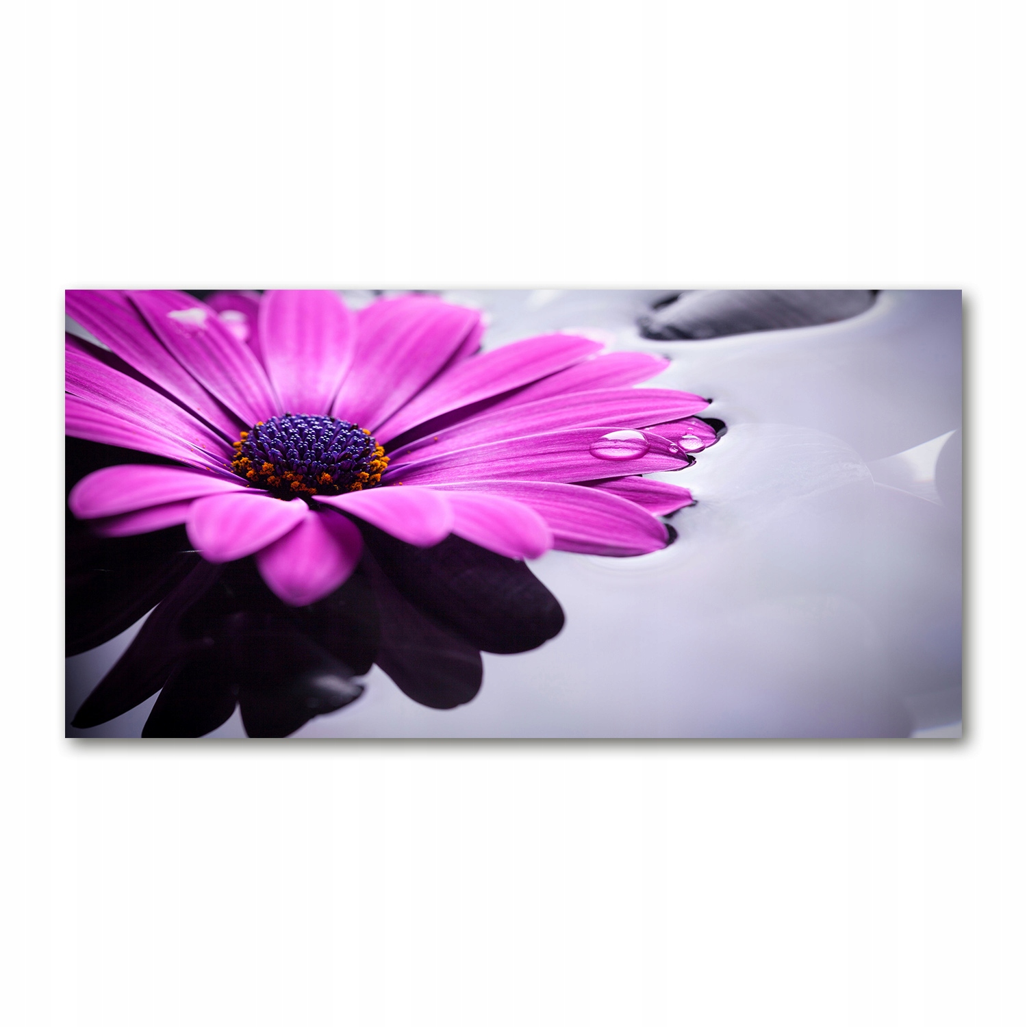 

Fotoobraz na ścianę szkło hartowane Gerbera 140x70