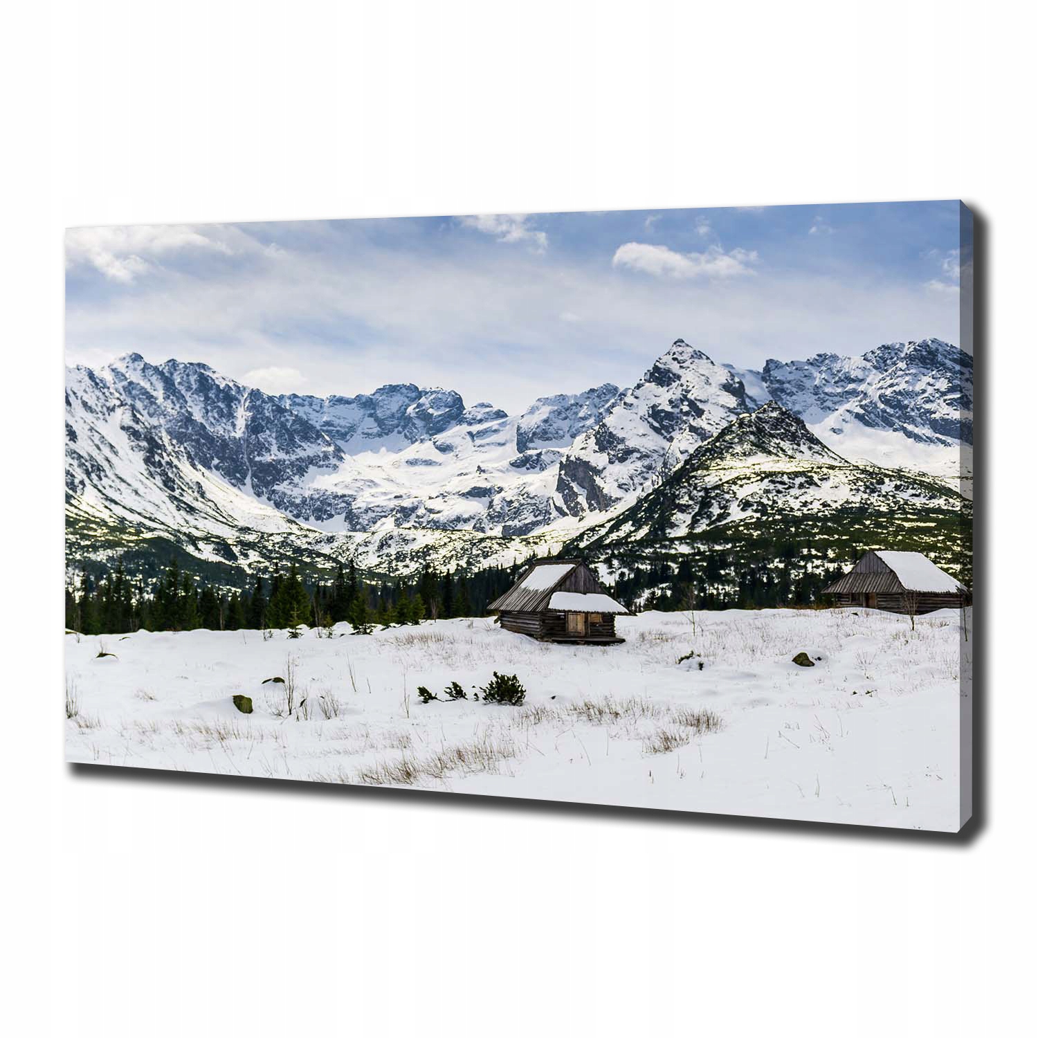 

Foto obraz canvas na ścianę Hale Tatry 100x70 cm