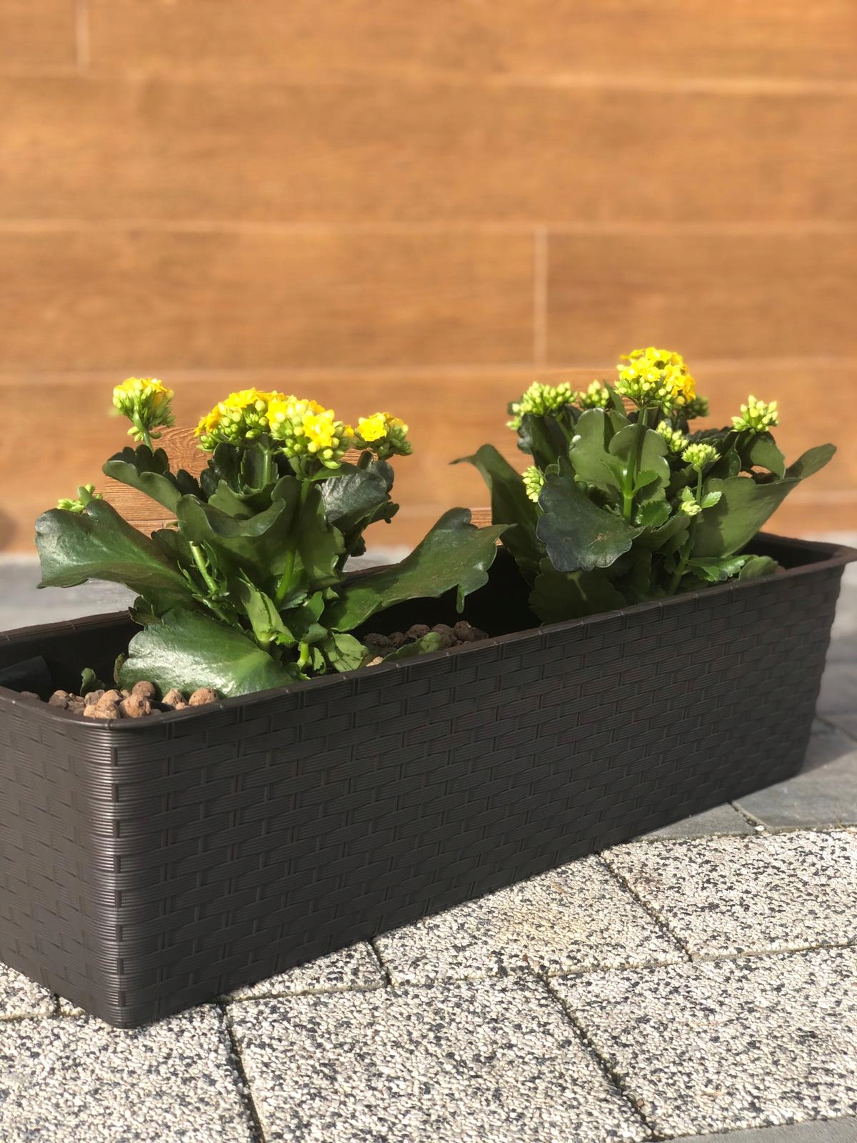 Doniczka donica skrzynka balkonowa 50cm+ PODSTAWKA Szerokość produktu 17.2 cm