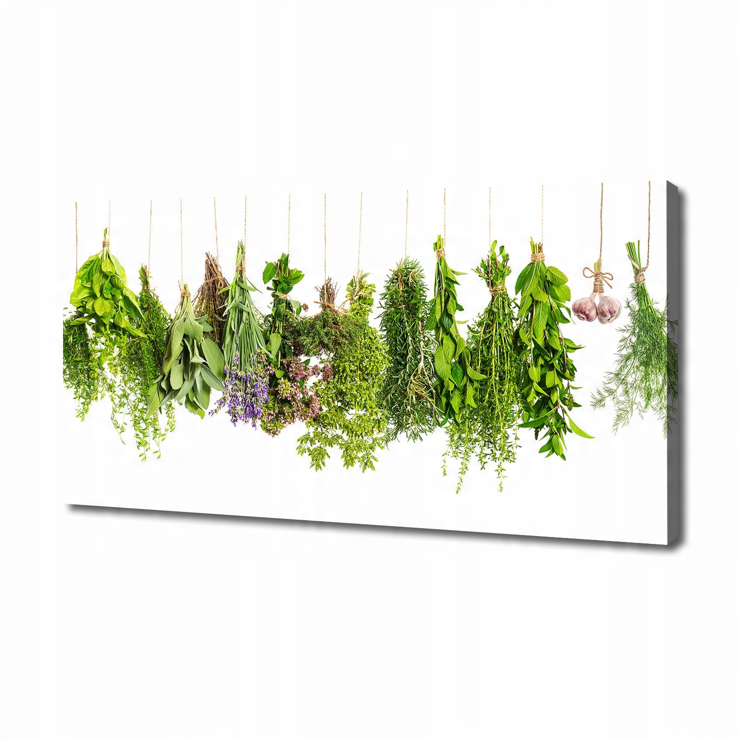 

Foto obraz na płótnie Zioła na sznurku 140x70 cm
