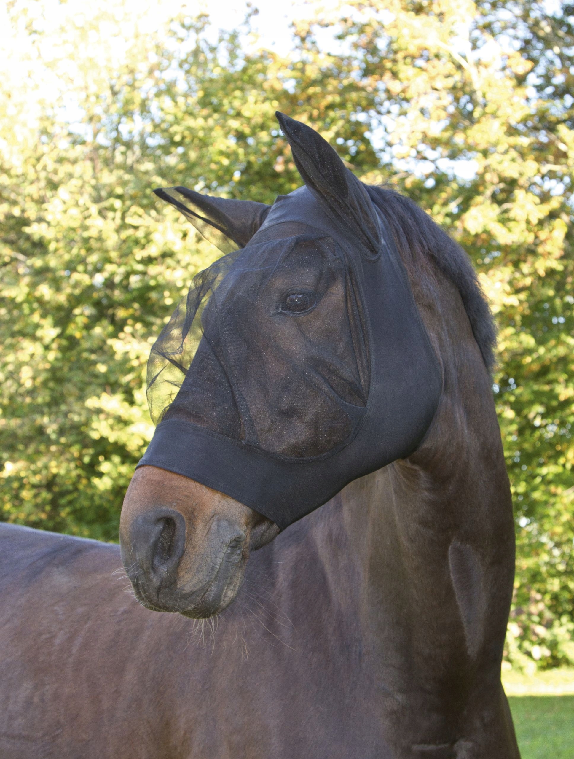 Maska wciągana przeciwowadom "FinoStretch" Covalliero czarna pony
