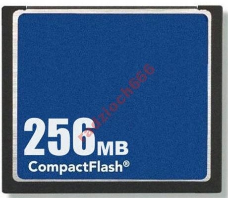 Karta pamięci Compact Flash CF 256MB