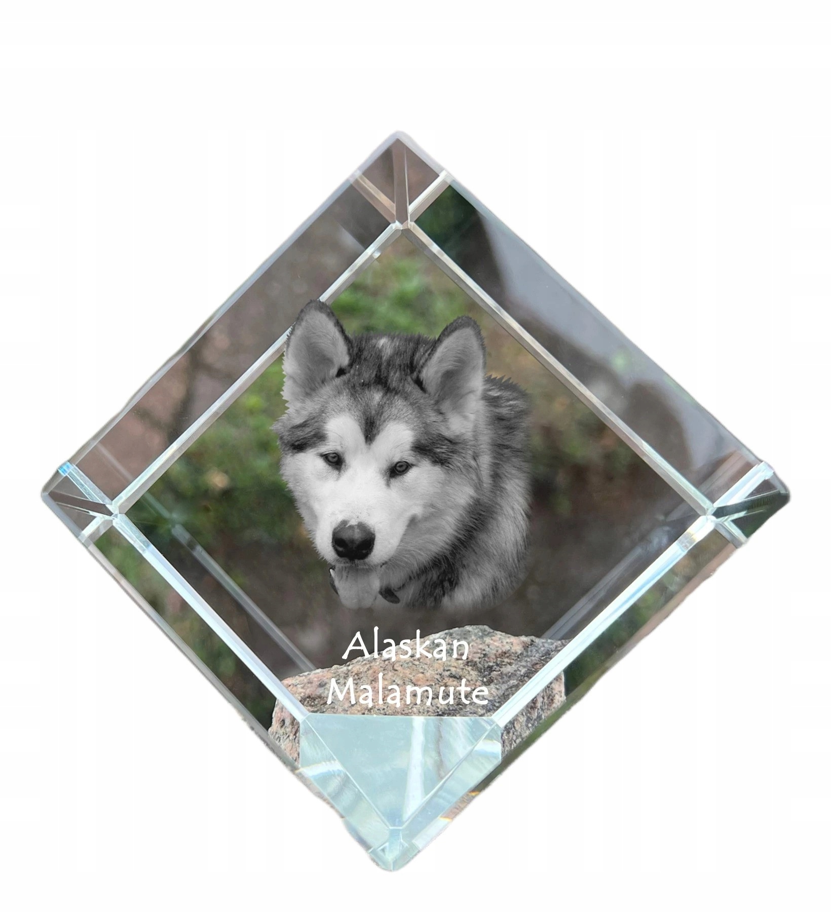 Aljašská kryštálová kocka Malamute s fotografiou psa, ozdoba na stôl