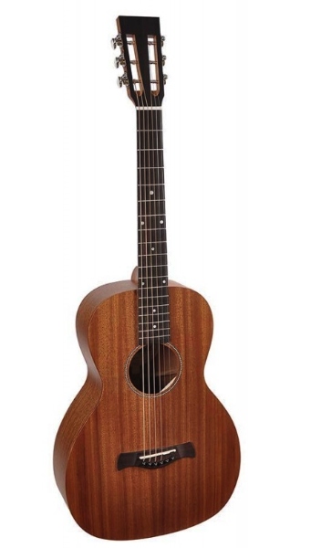 Richwood P-50 Parlorová Akustická Kytara