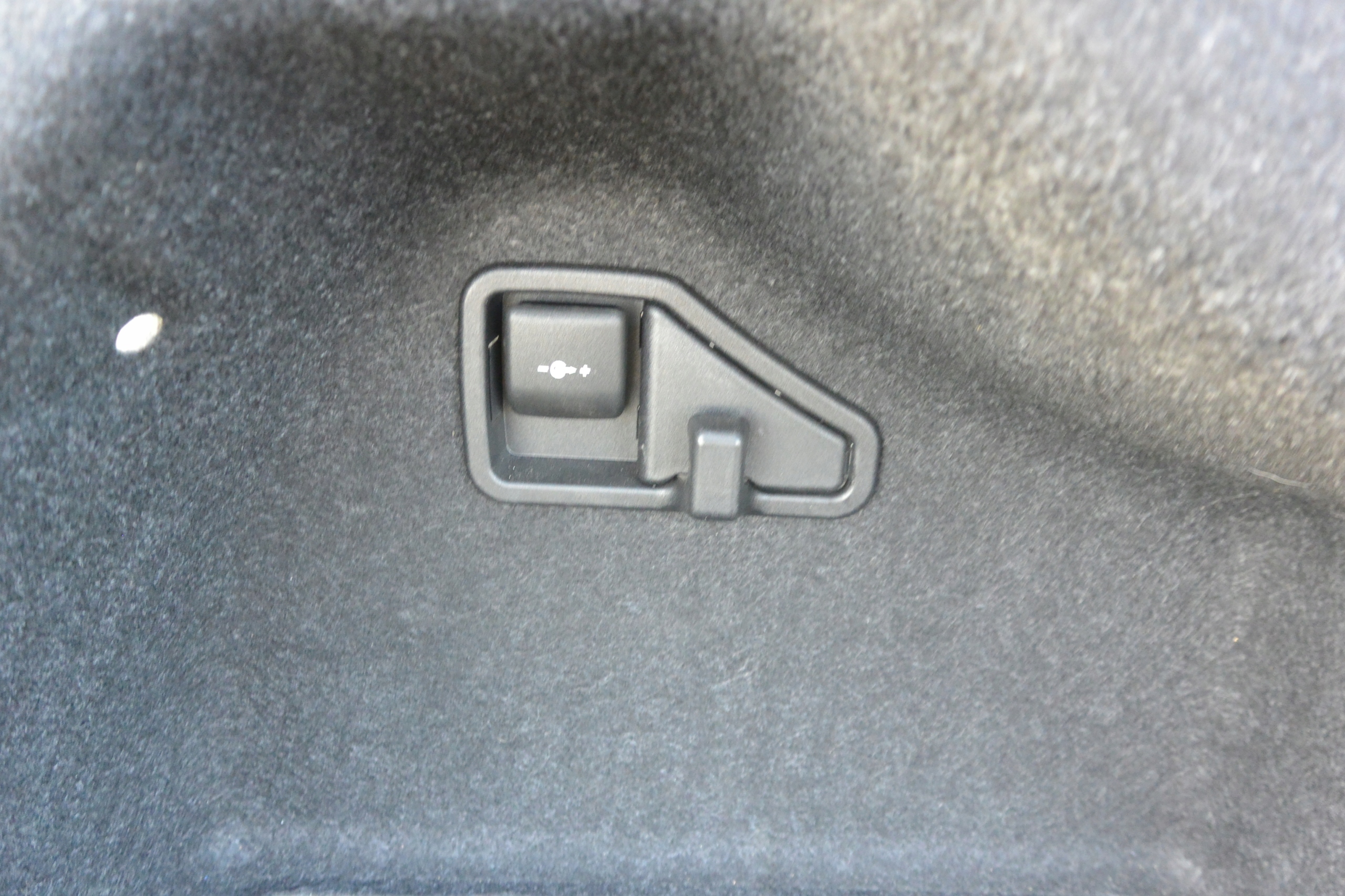 boot upholstery left right KPL BMW 3-SERIA F30 sedan 330E