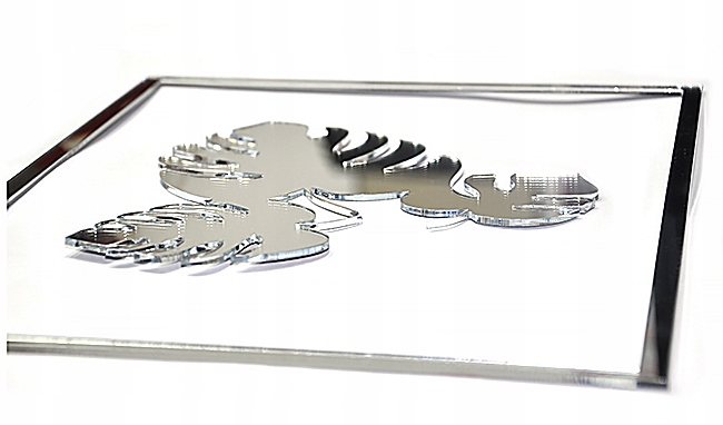 Dekor , LIŚĆ MONSTERA plexi lustro!