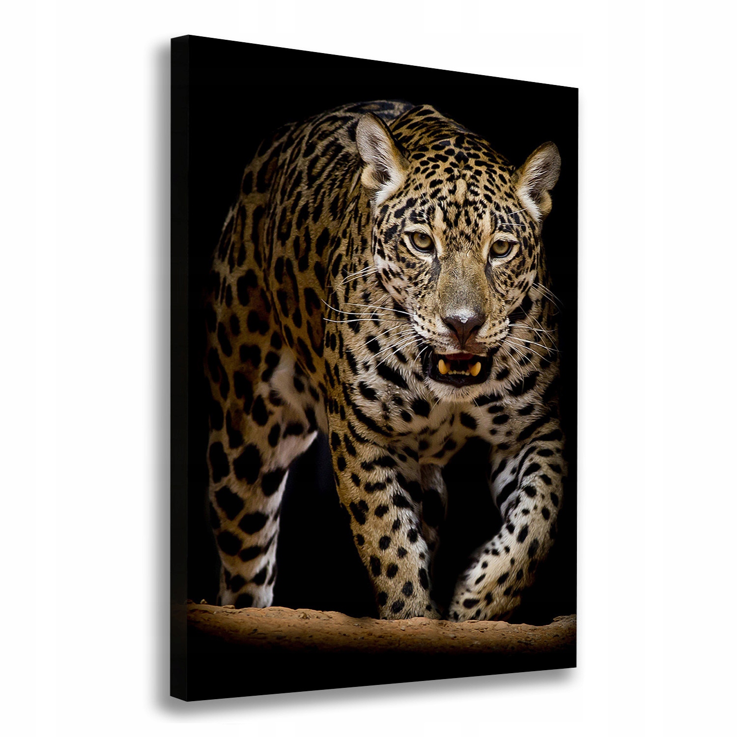 

Nowoczesny fotoobraz canvas na ramie Jaguar 70x100