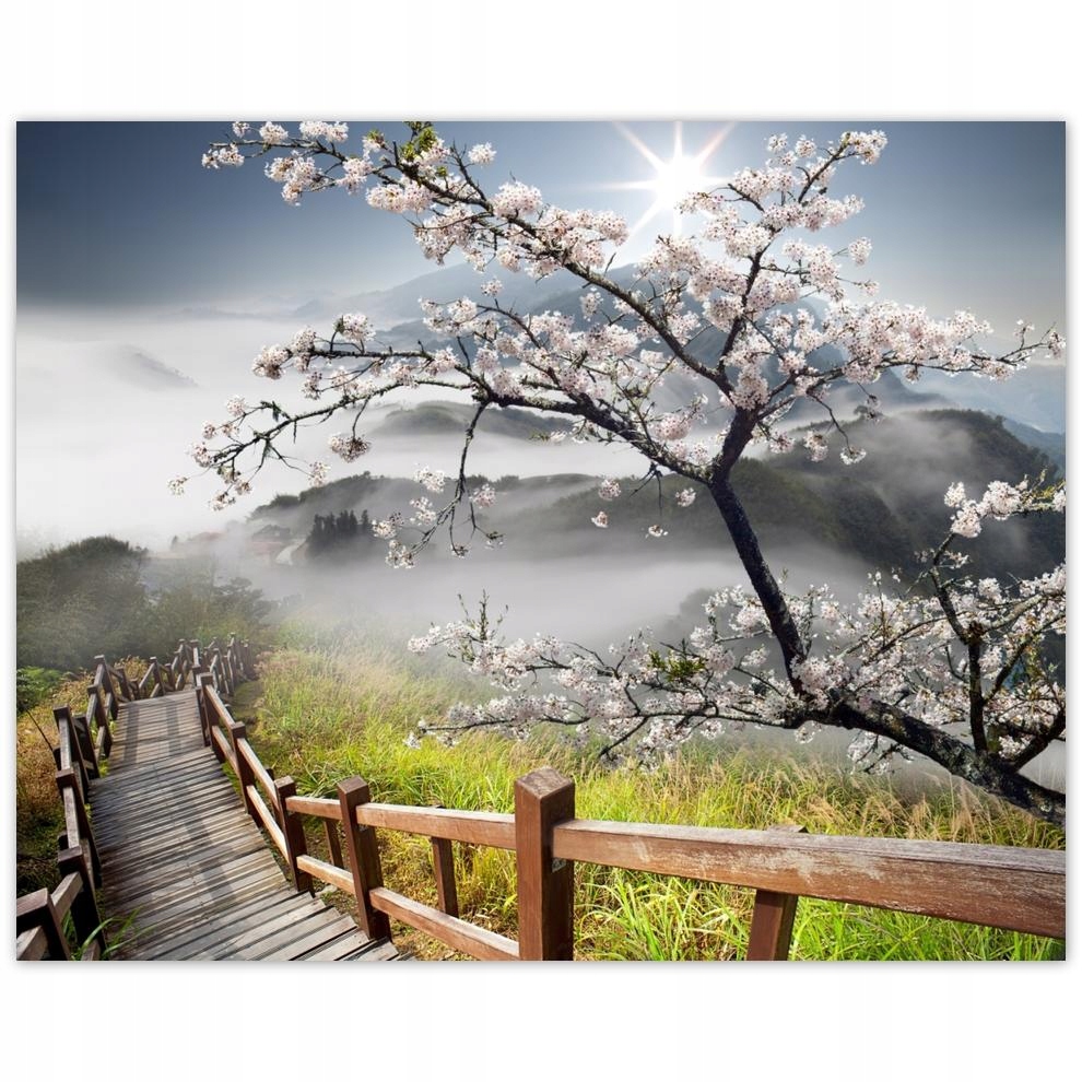 

Plakat 50x40 Japonia Kwitnąca wiśnia