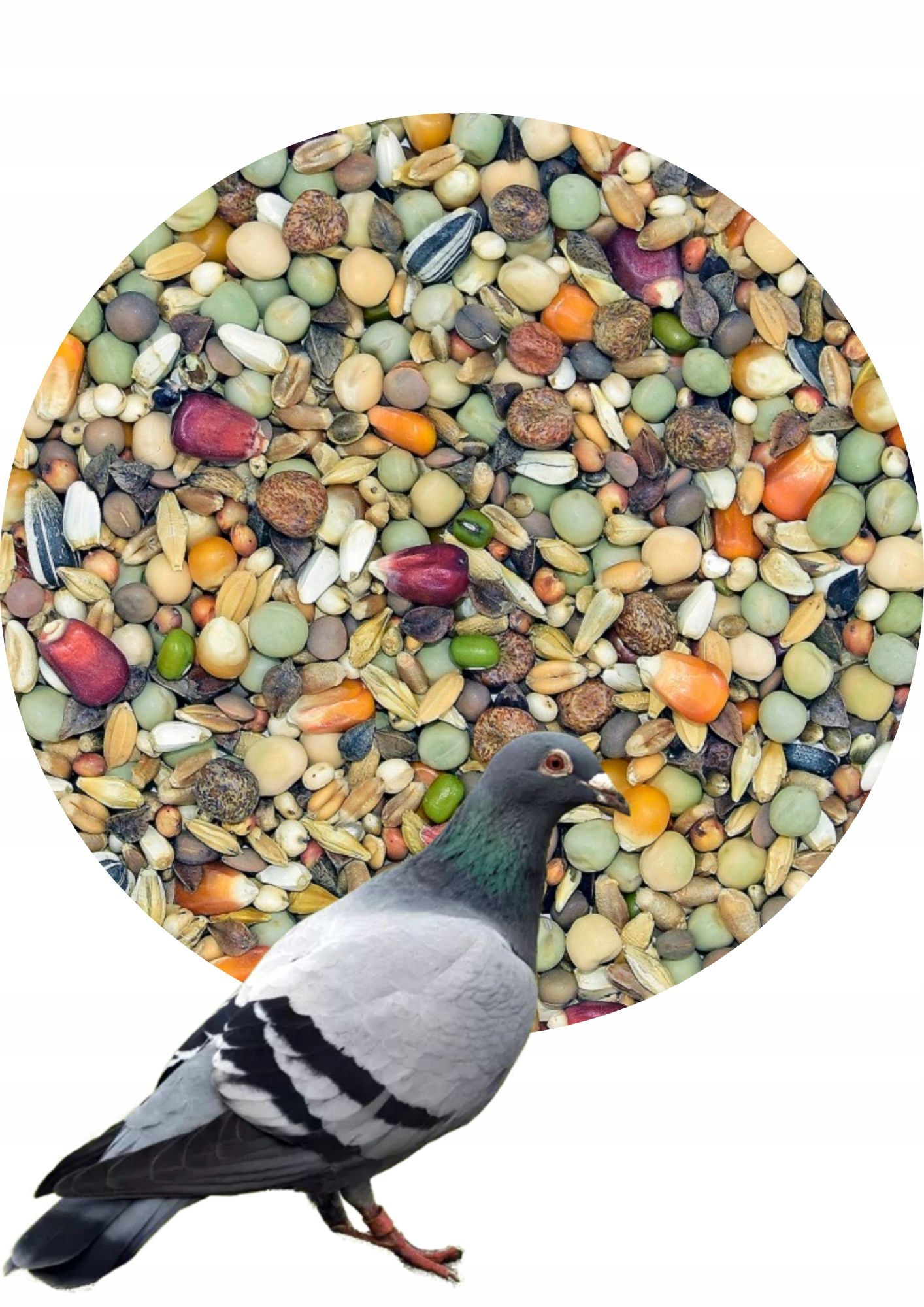 MDM RW - ROZPŁODOWA WYSOKOBIAŁKOWA dla gołębi 25kg