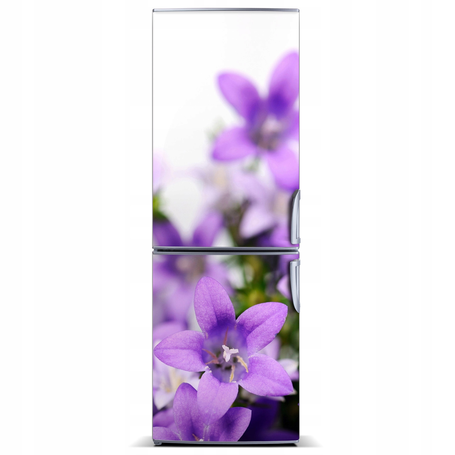 

Naklejka Magnes Magnes Fioletowe dzwonki 60x180