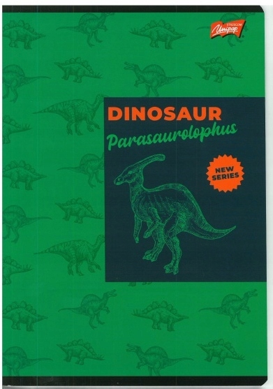 

Zeszyt A5 16K W 3 Linie Dinozaury Nauka Pisania