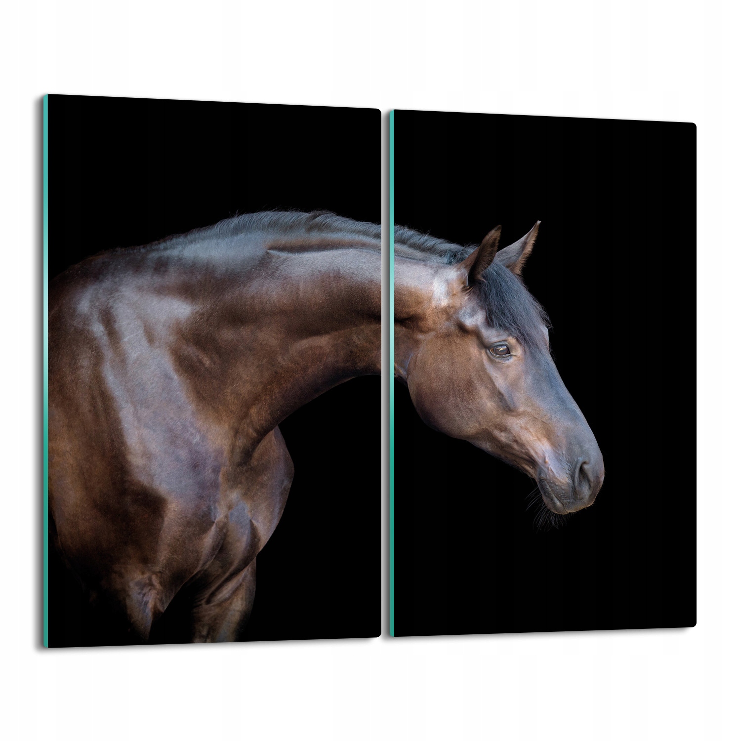 Krytka splashback s potiskem Hnědý kůň 2x 30x52