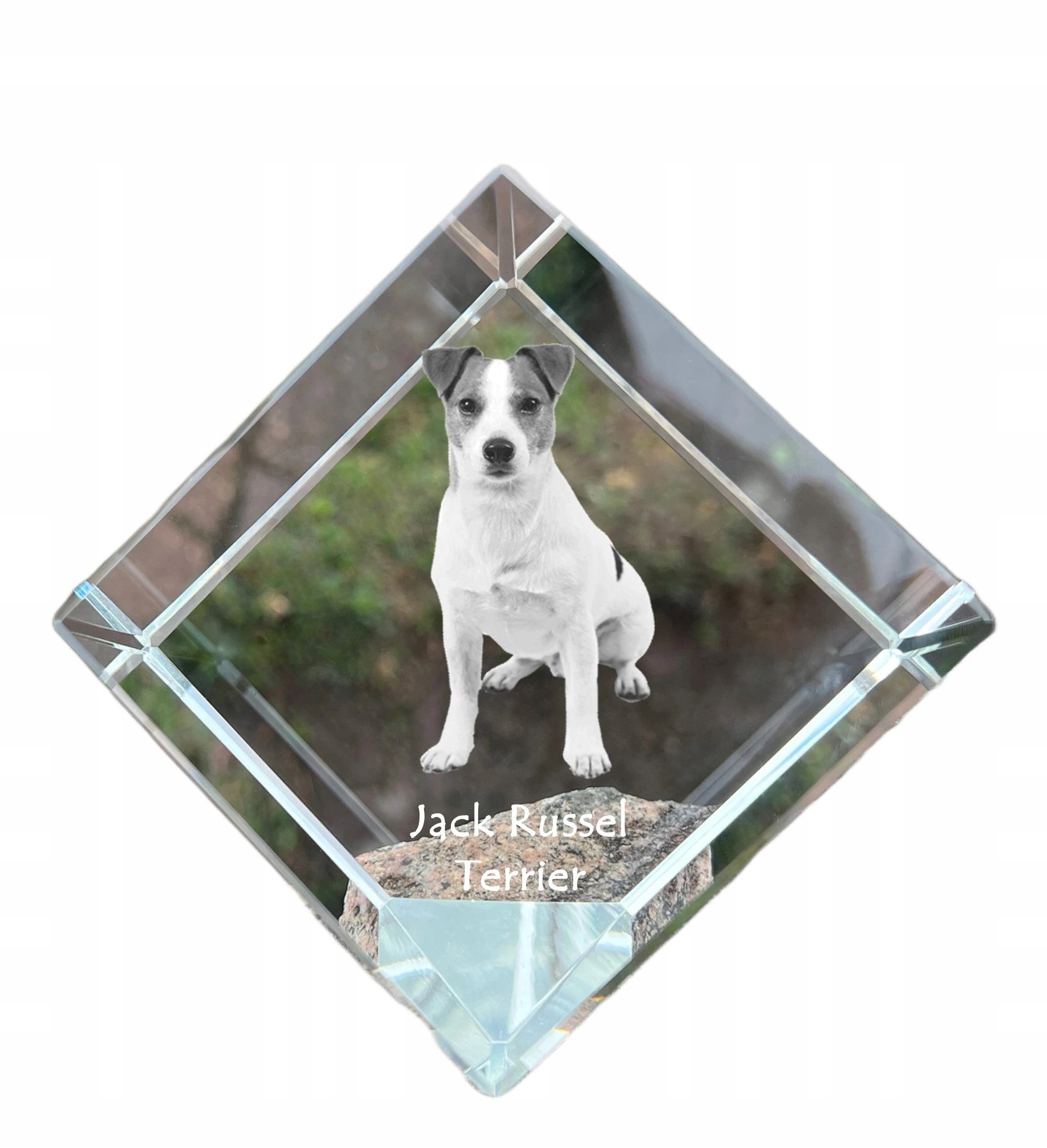 Jack Russell Terrier krištáľová kocka s fotografiou psa, ozdoba na stôl