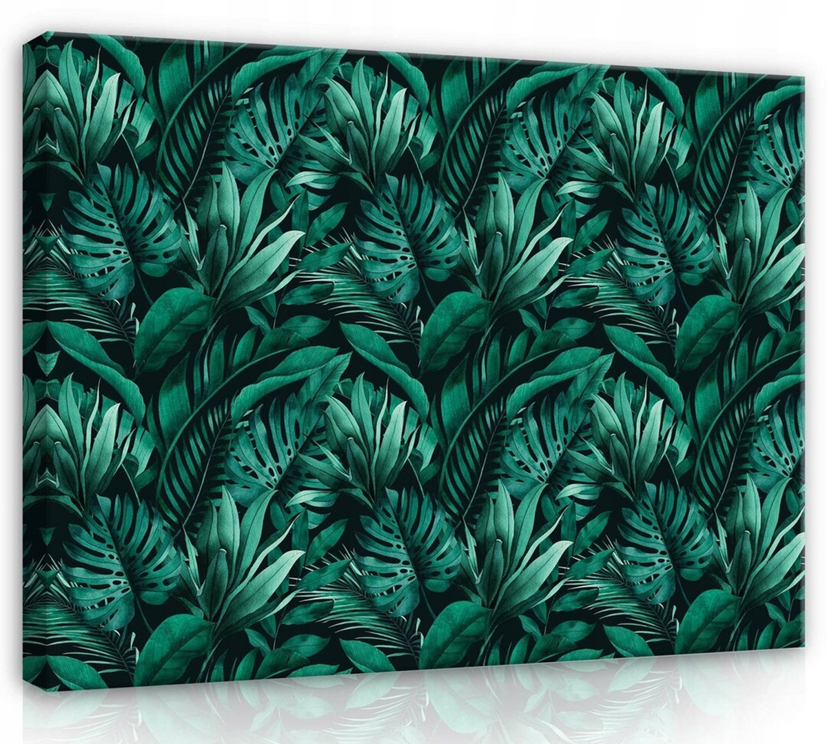 Obraz Na Plátně Canvas 120x80 Listy Rostlin Monstera Palma Džungle Příroda