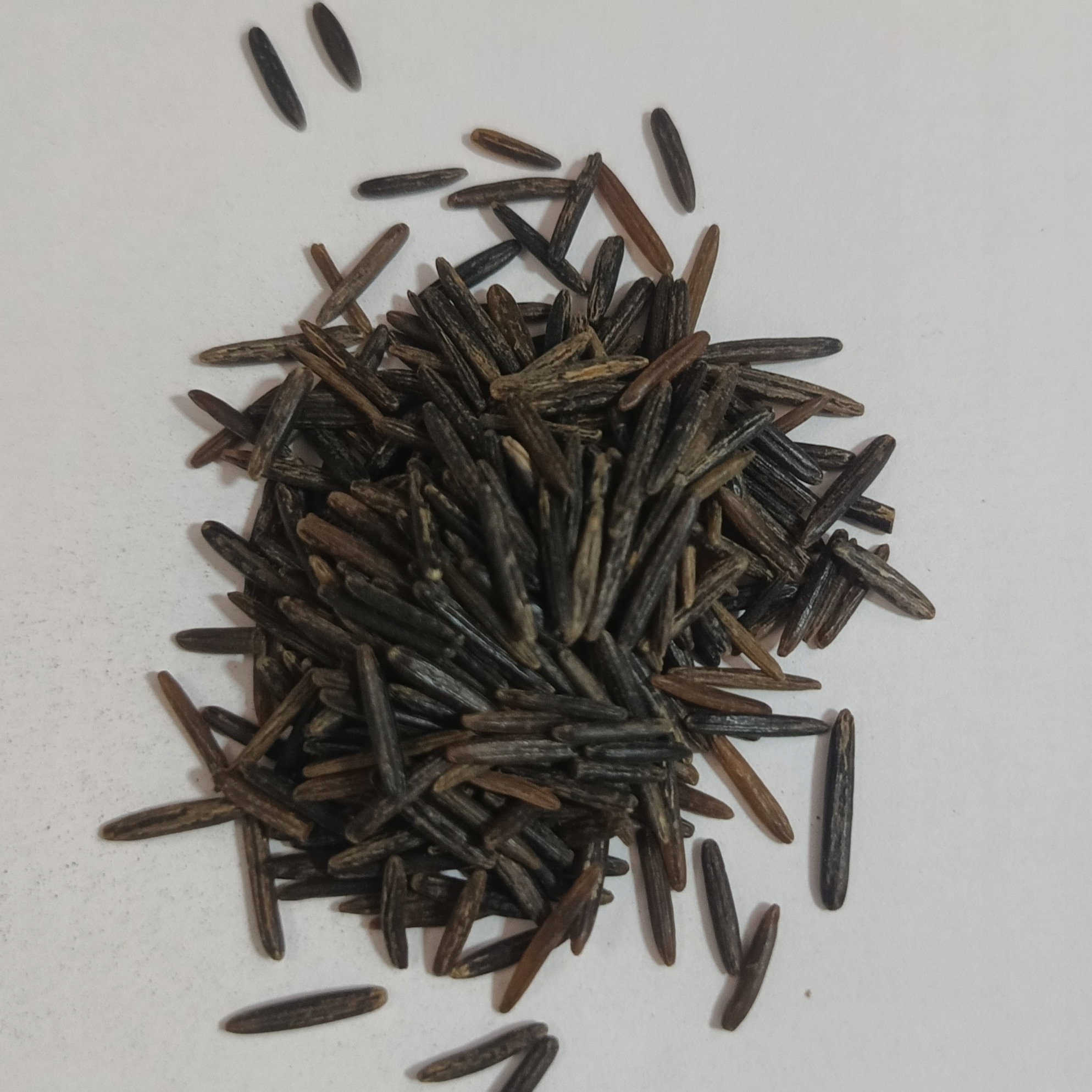 Levně Divoká rýže 1 kg Rafex