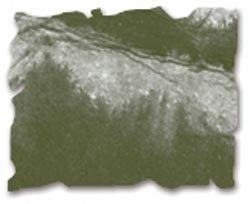 Tusz DISTRESS Ink Ranger Tim Holtz Forest Moss Marka Ranger