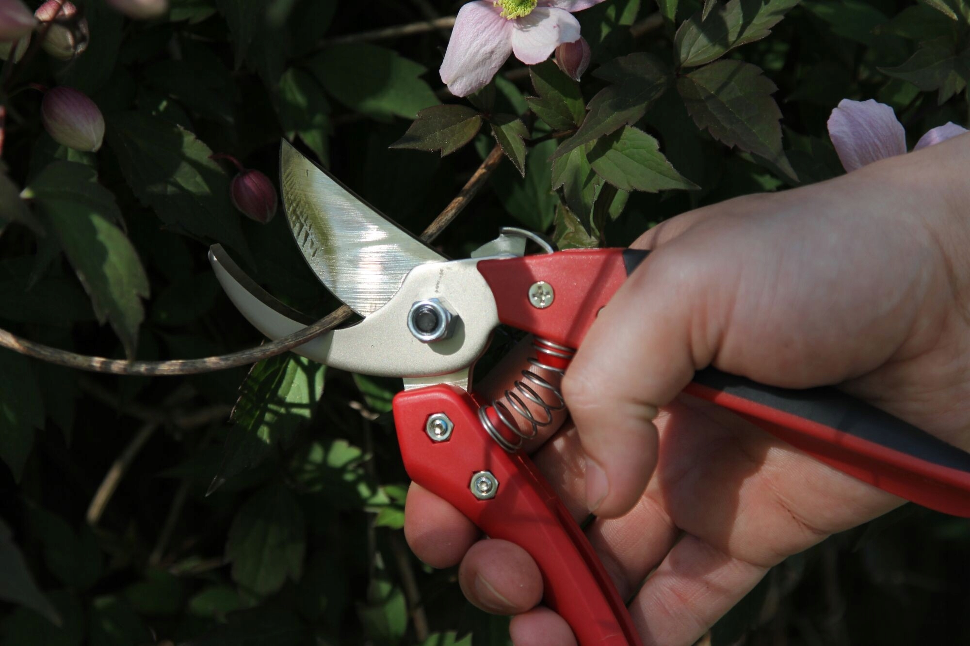 EUROFLORA ARS CB-9 SEKATOR Marka ARS