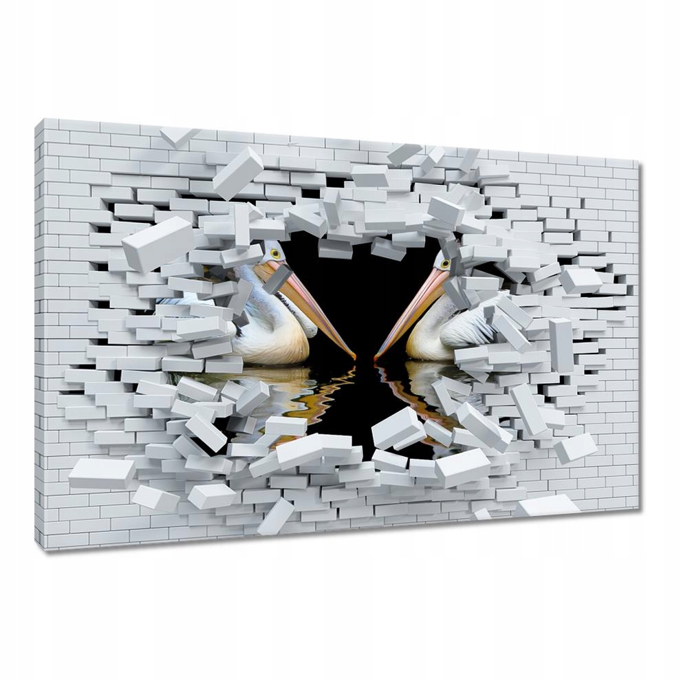 

Obrazy 60x40 Kormorany