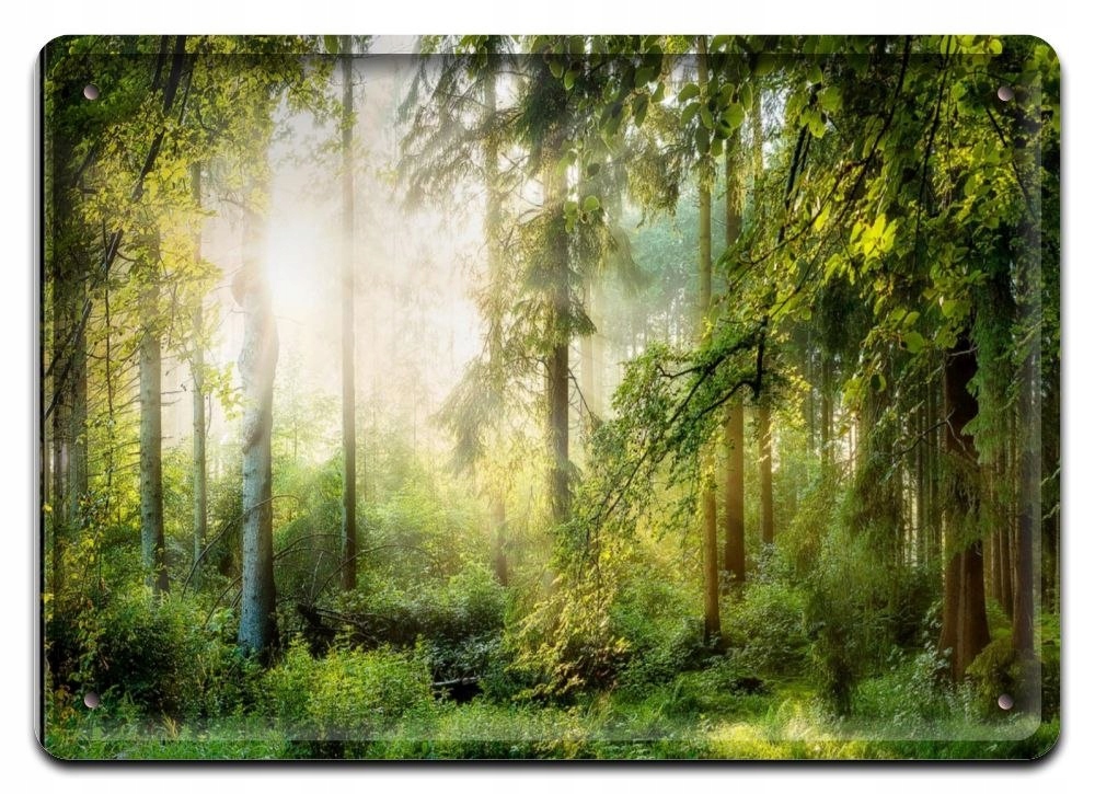 Metalowy Szyld Plakat Vintage Retro #08881