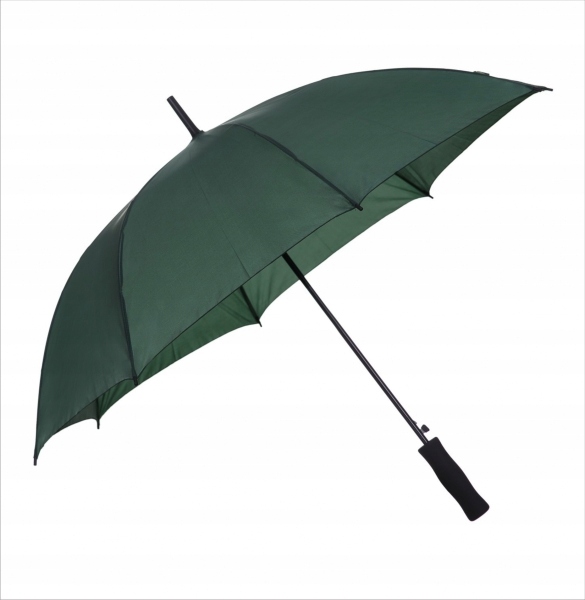

Zielony parasol automatyczny na spacer jesień