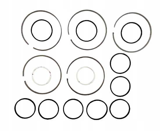 81001076 - ТЕФЛОНОВЫЙ НАБОР 45RFE 545RFE 65RFE 99+