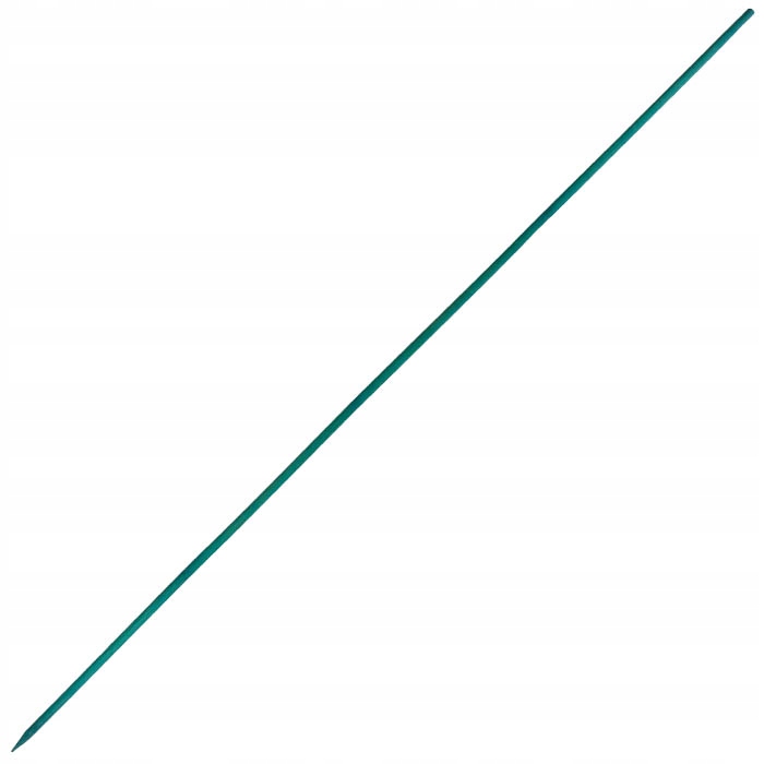

Szpilka Bambusowa Podpora Roślin Doniczkowych 60cm