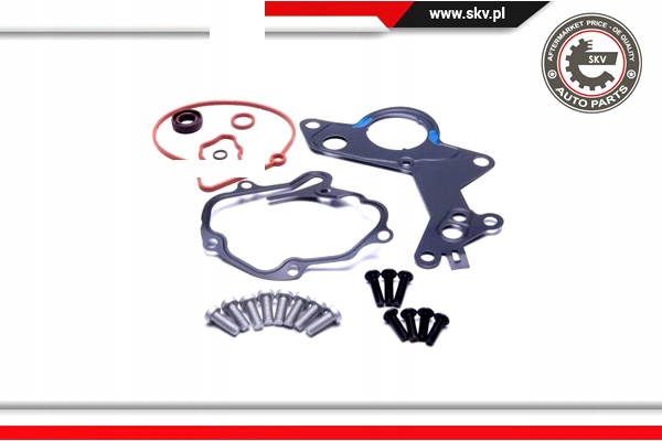 ESEN SKV ZESTAW NAPRAWCZY POMPY VACUM 18SKV801 Producent części Volkswagen OE