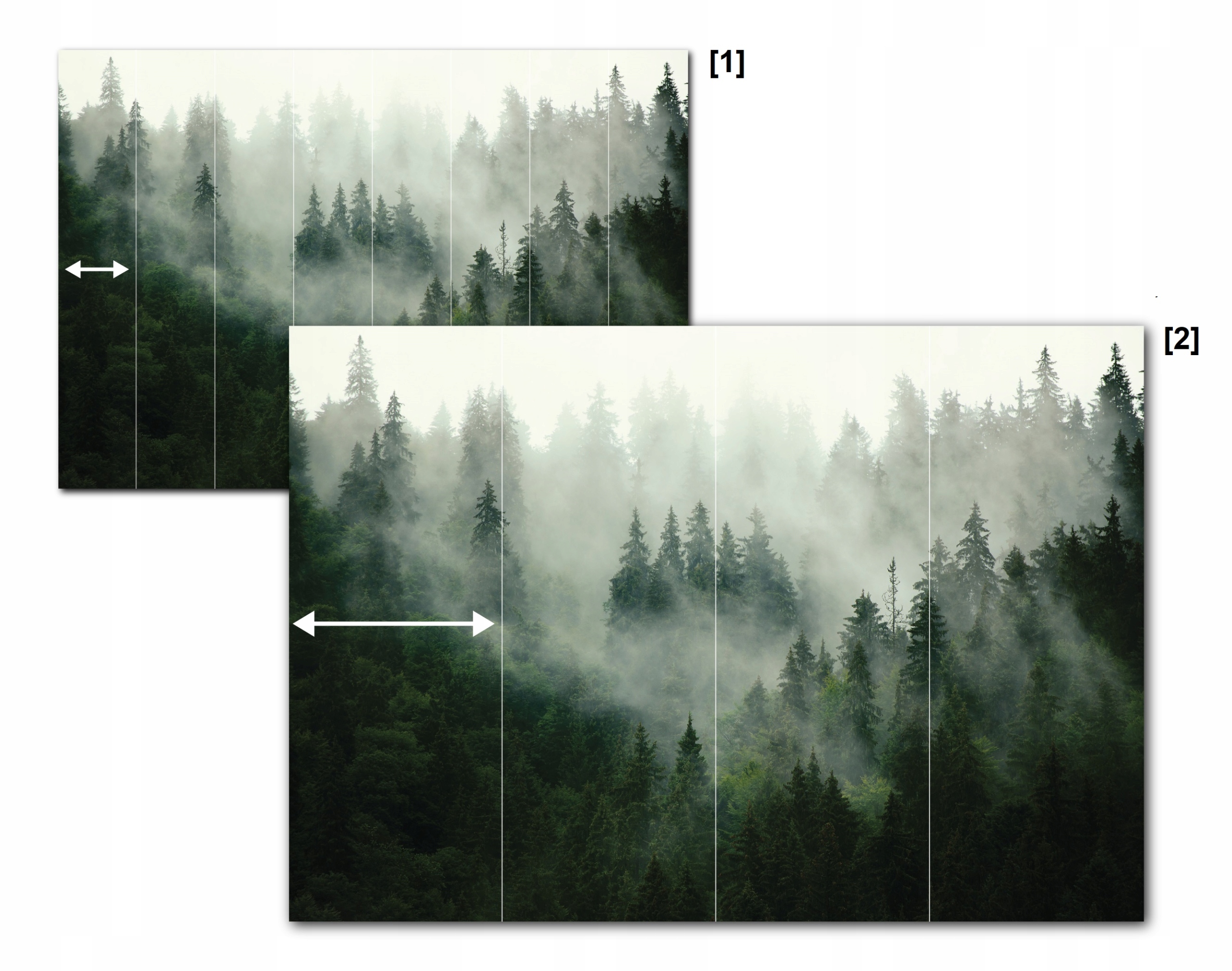 FOTOTAPETA DŻUNGLA PAPUGI ROŚLINY LIŚCIE NATURA TAPETA ŚCIENNA 368x254 Szerokość produktu 368 cm