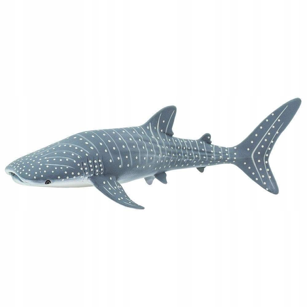 

Rekin Wielorybi Whale Shark Safari Ltd. 422129