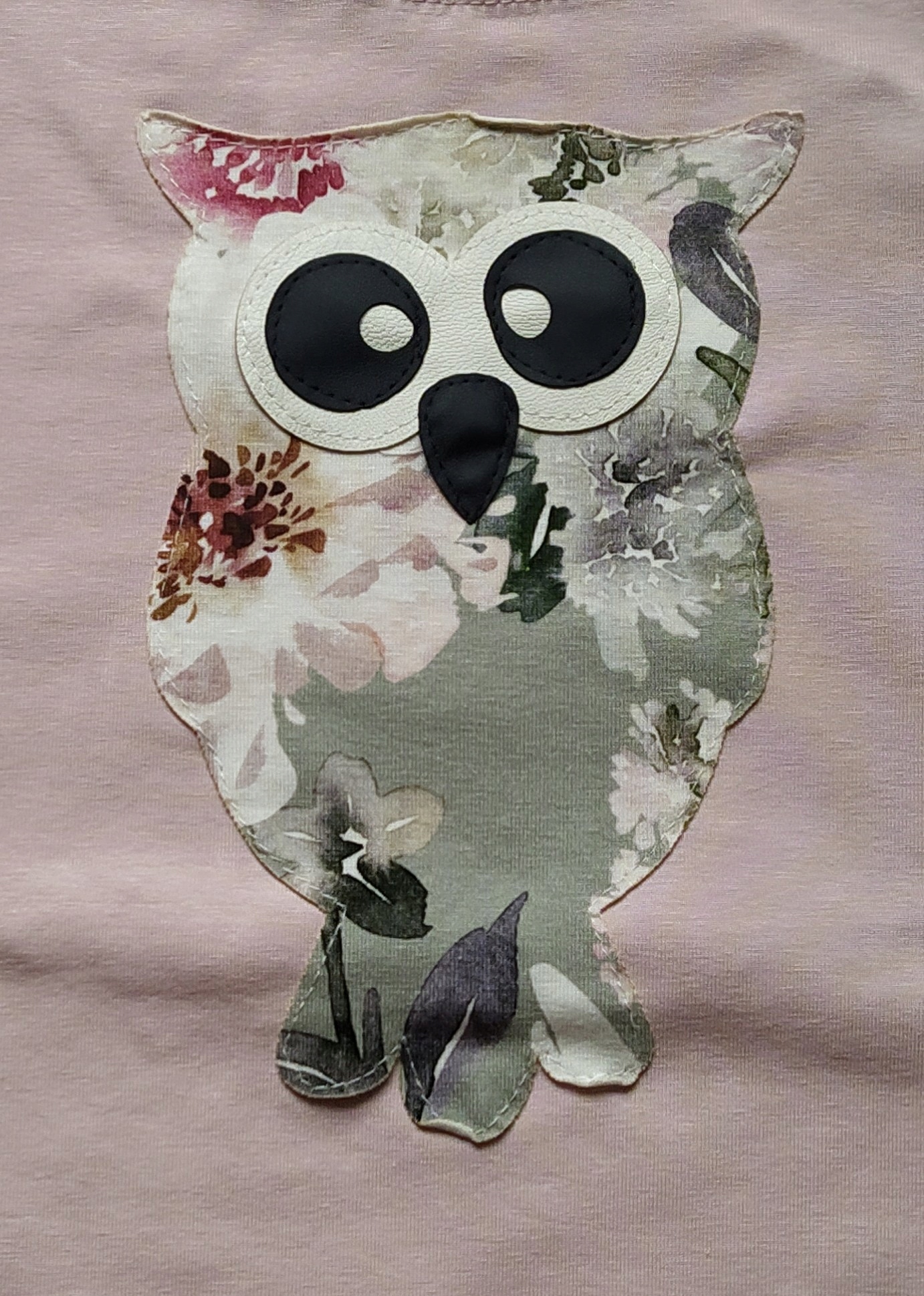 Bluzka dziewczęca Aipi 'Sowa' długi rękaw r.116 Marka AIPI