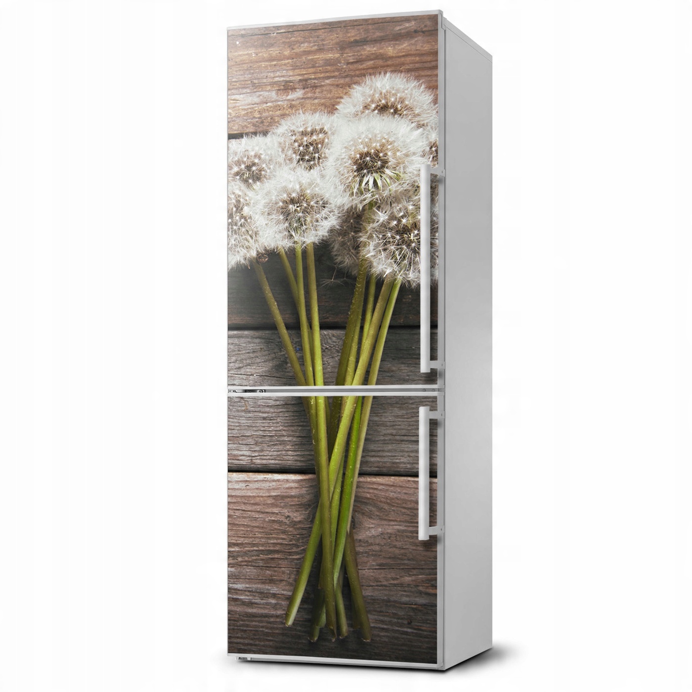

Naklejka Magnes Magnes Bukiet dmuchawców 60x180