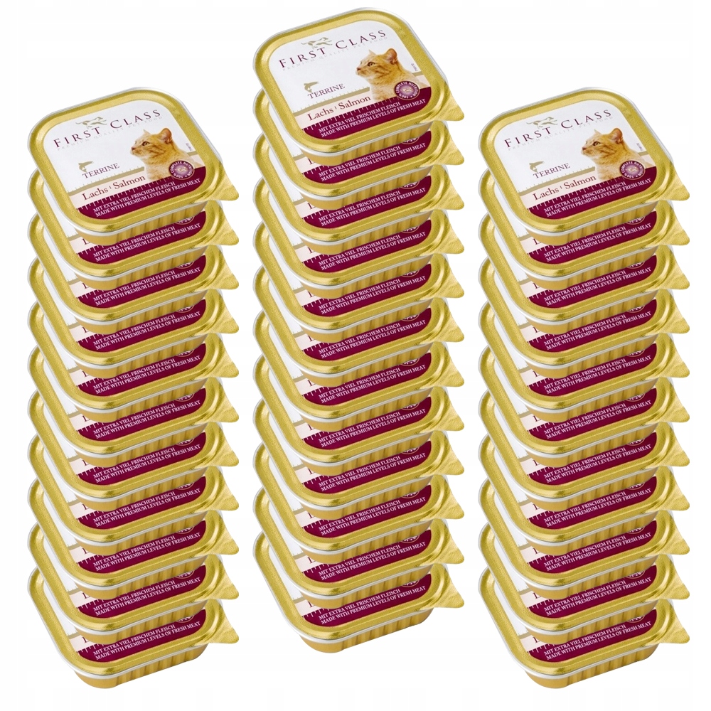 Levně Akinu First Class Losos paštika pro kočky 34 x 100 g